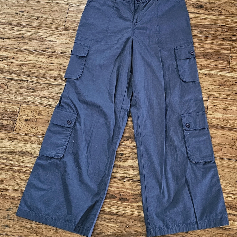 BP Wide Leg Cargo Pants in Blue